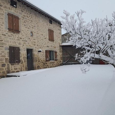 Gite De Charme Avec Jardin Et Wifi A Chalmazel-Jeansagniere - Fr-1-496-249 외부 사진